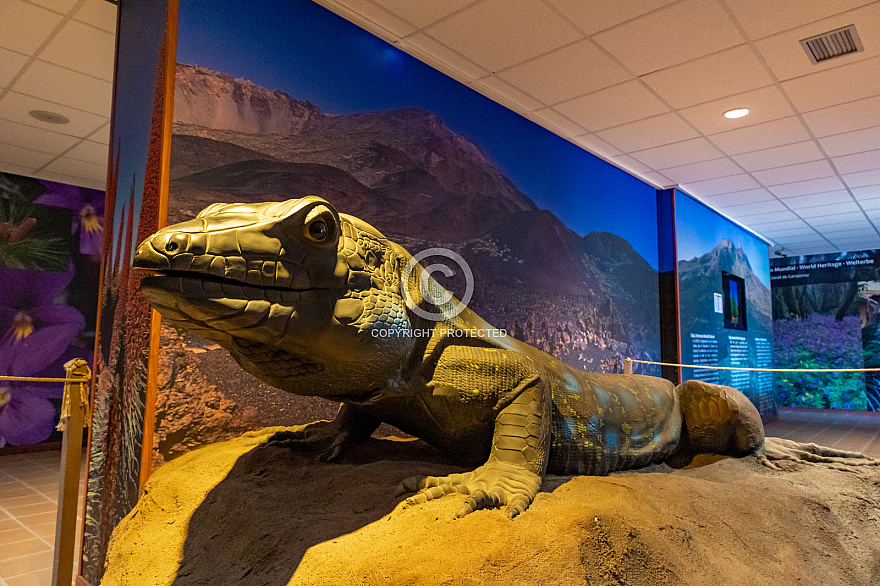 Centro de Visitantes de El Portillo Parque Nacional del Teide - Jardín Botánico - Tenerife