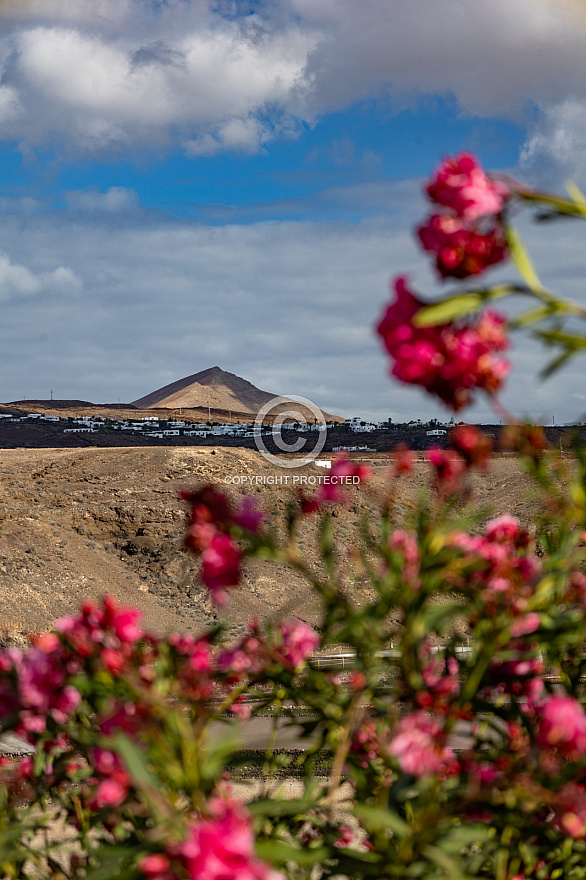 Mirador de las Salinas - Lanzarote