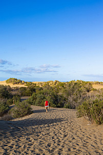 Dunas de Maspalomas: Senderos Y Miradores