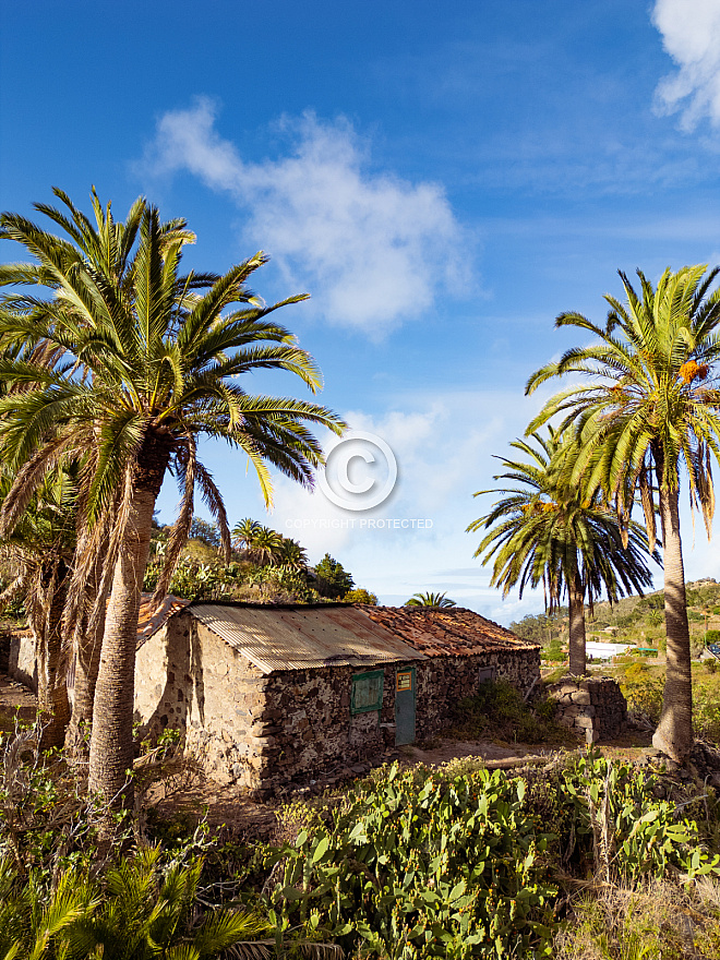 Las Rosas - La Gomera