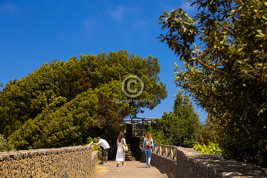 Tenerife: Mirador Pico del Inglés