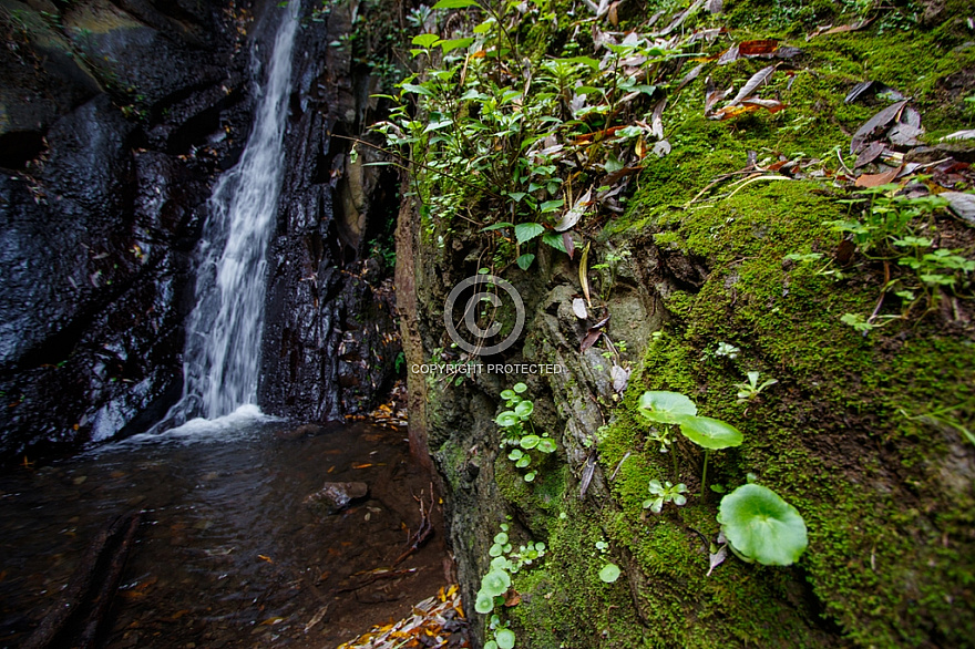 Barranco de los Cernicalos