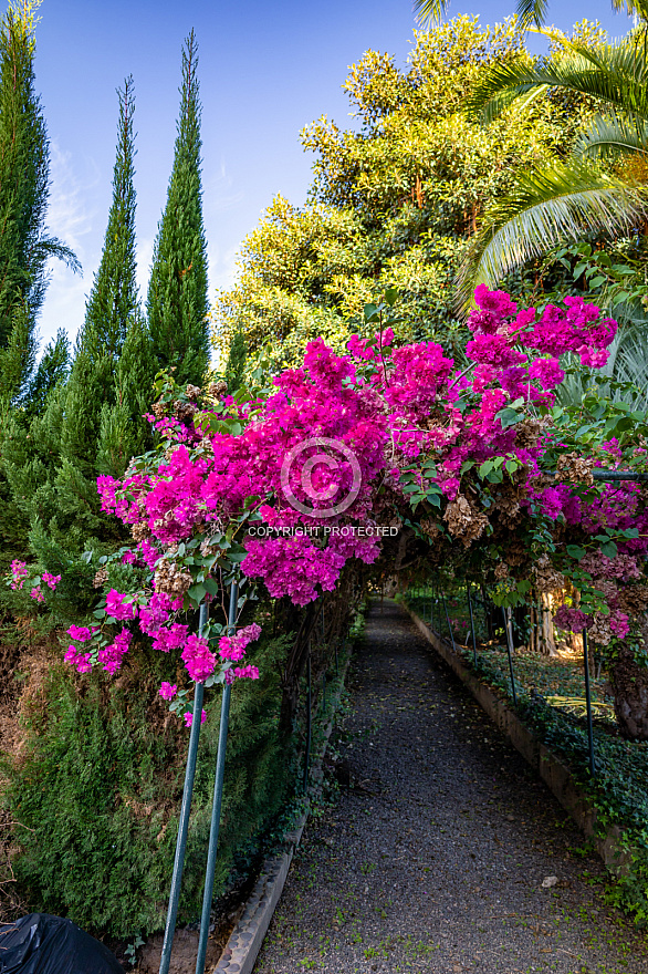 Jardín de la Marquesa - Gran Canaria