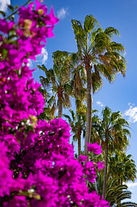 costa calma - fuerteventura