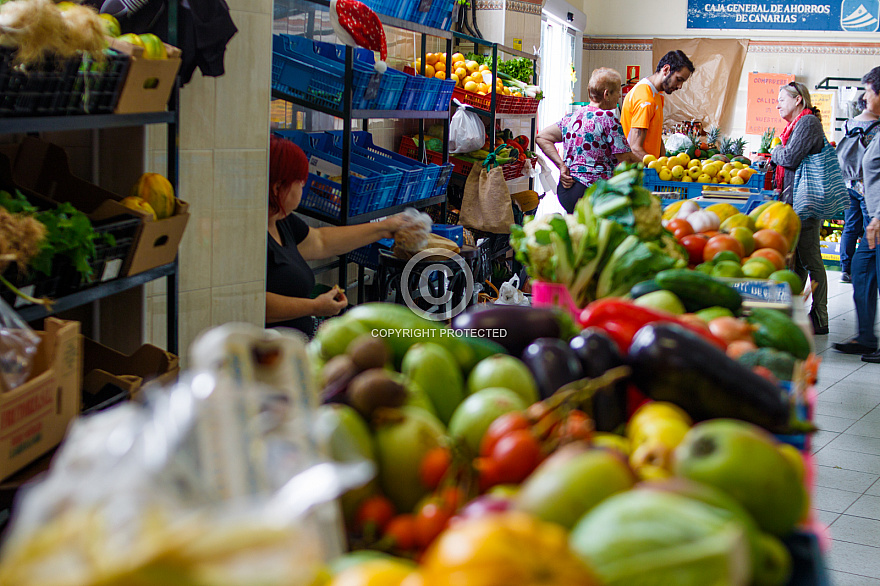 Mercadillo de Villa de Mazo