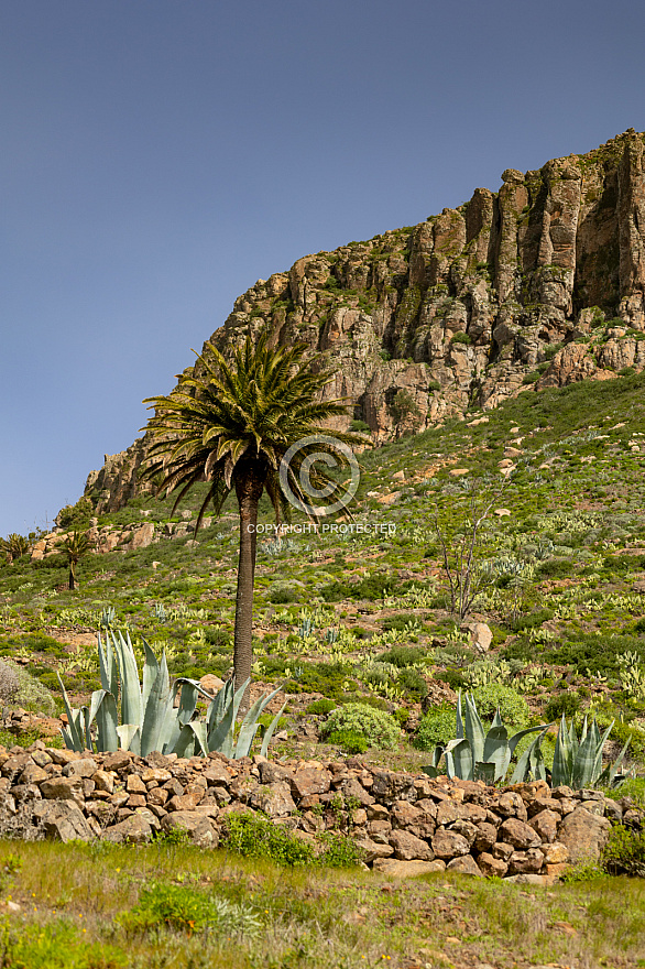 chipude - la gomera