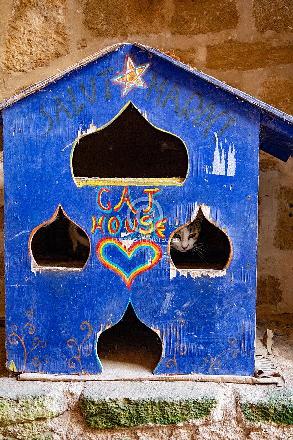 Essaouira - Morocco