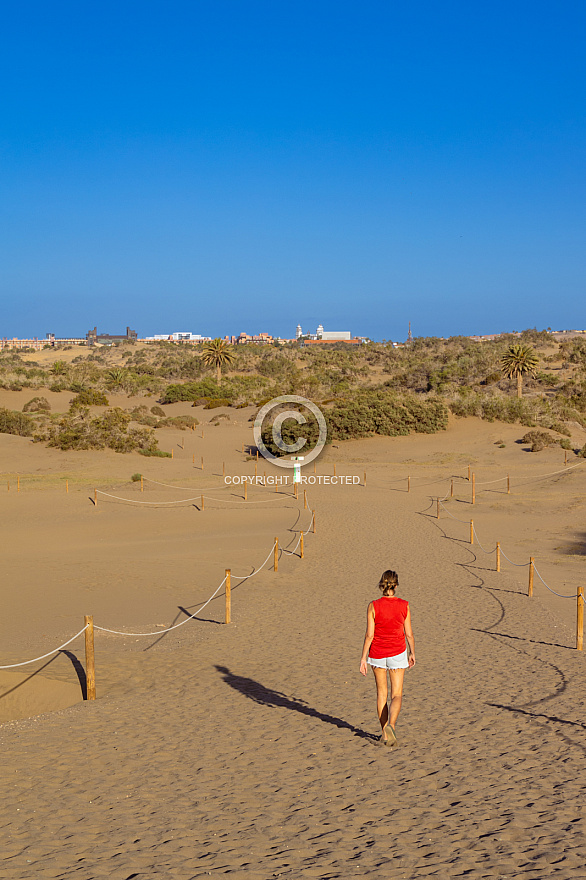 Dunas de Maspalomas: Senderos Y Miradores