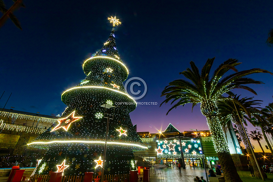 Christmas tree Las Palmas Gran Canaria