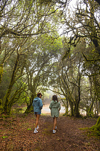 La Llania: El Hierro