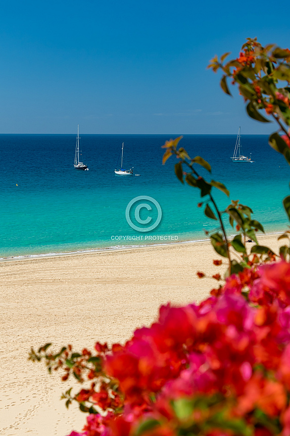 Morro Jable - Fuerteventura