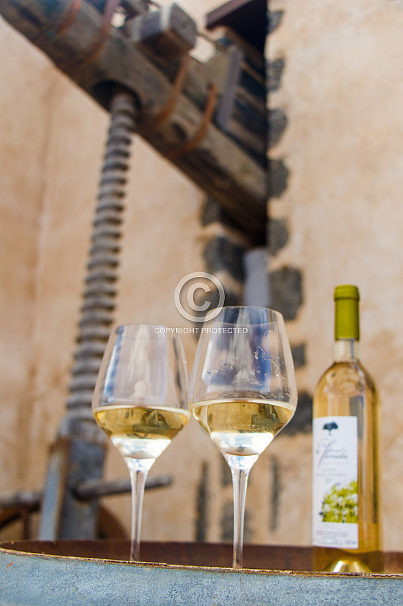 Bodegas La Florida - Lanzarote