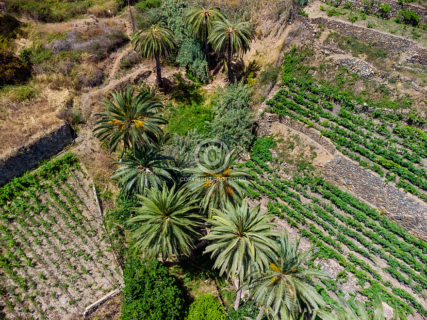 Macayo - Vallerhemoso - La Gomera