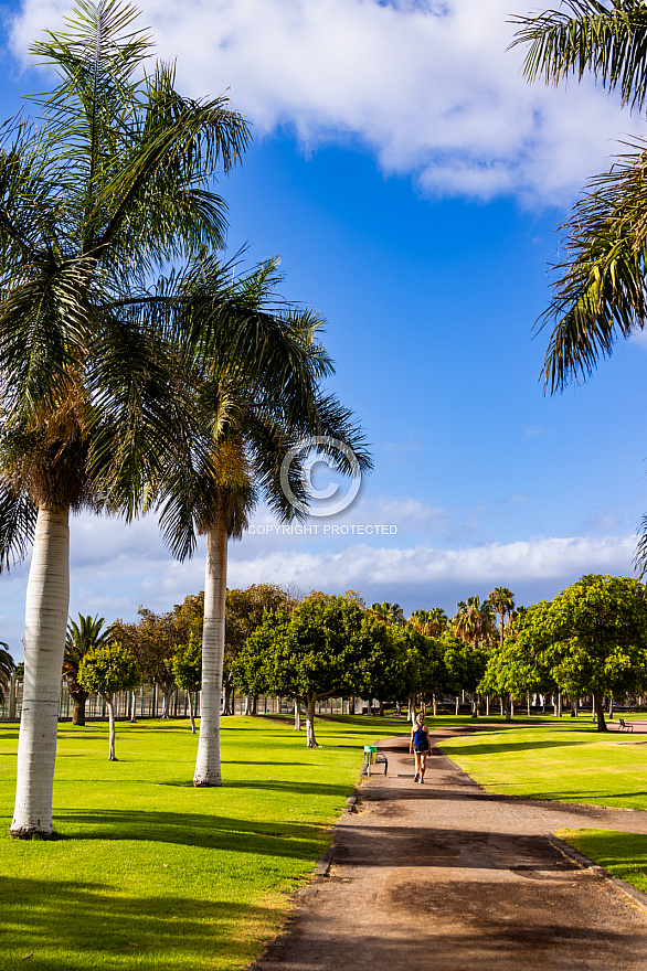 Parque del Sur en Campo Internacional Maspalomas