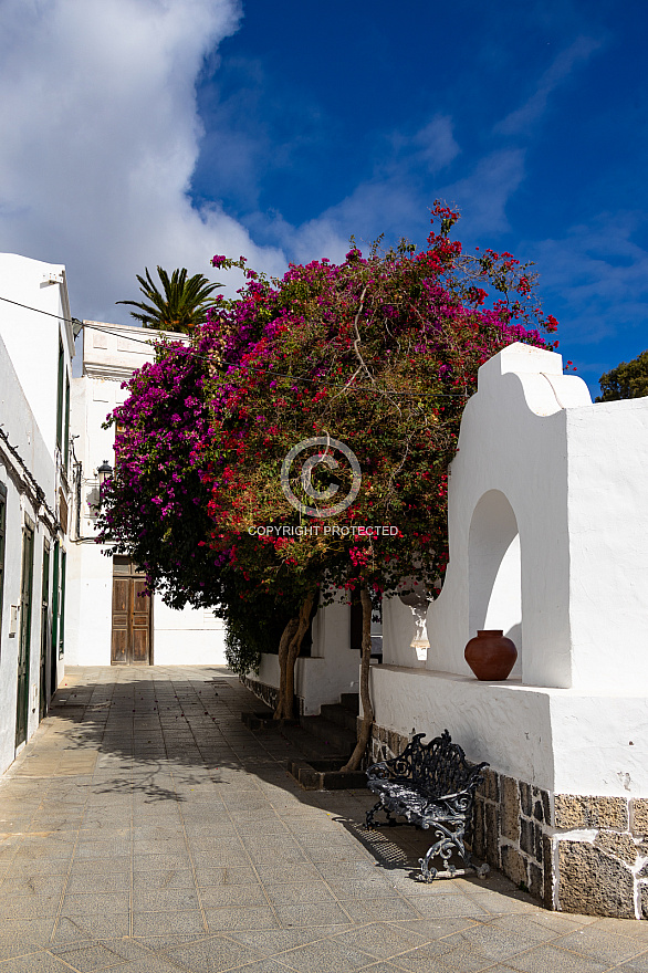 Lanzarote: Haria