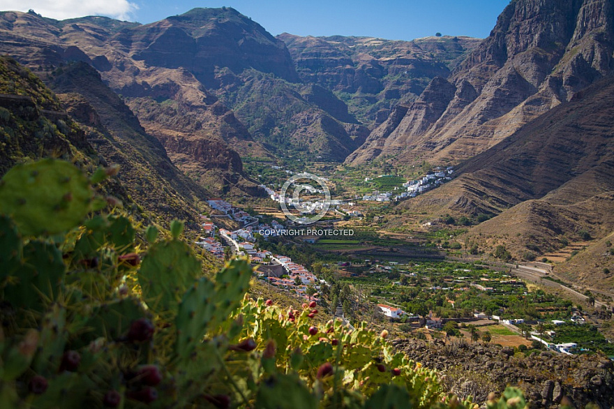 The Valley of Agaete