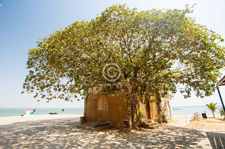 Senegal