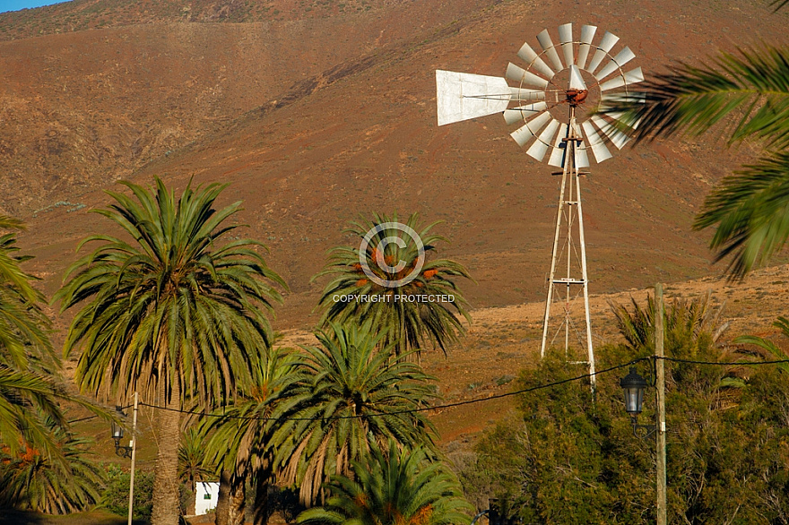 Fuerteventura