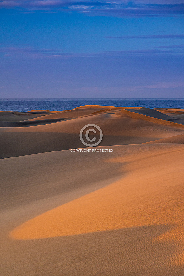 Dawn at Maspalomas Dunes