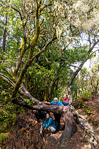 Barranco del Cedro - La Gomera