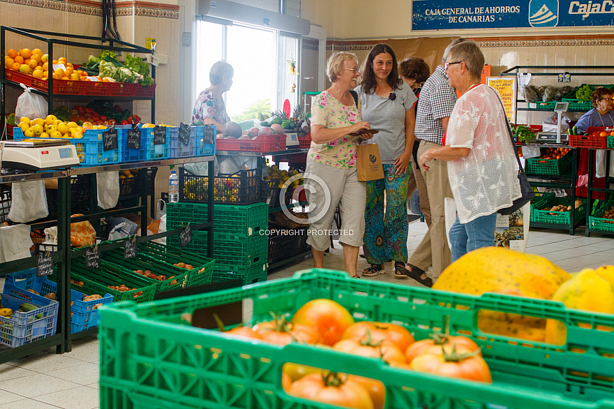 Mercadillo de Villa de Mazo