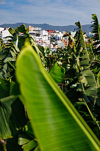 aquaducto de Argual - Los Llanos - La Palma