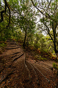 Barranco del Cedro - La Gomera