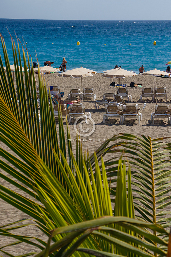 Playa de las Vistas Tenerife