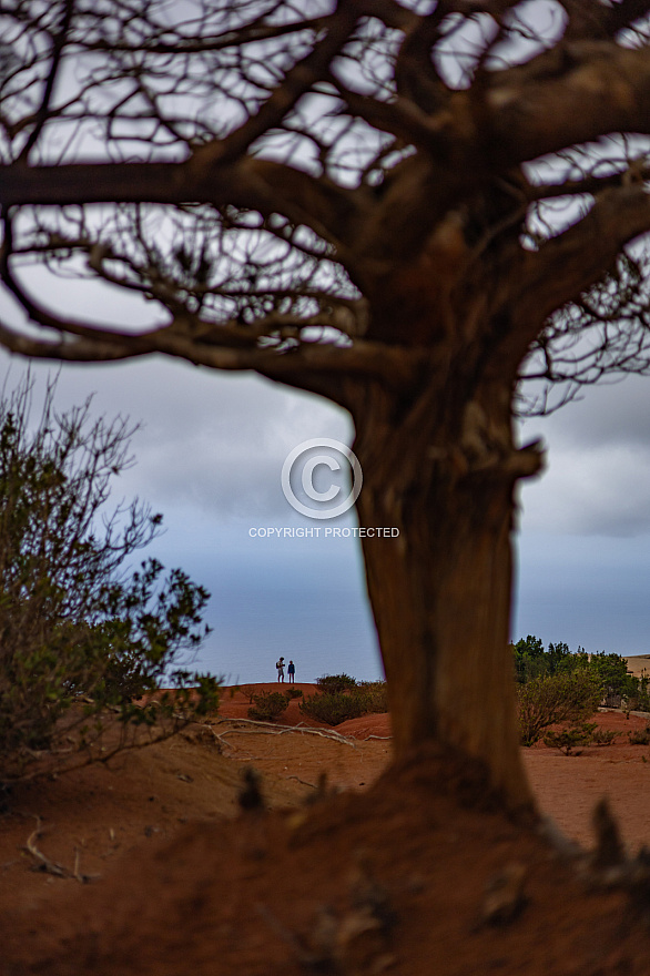 MIrador de Abrante - La Gomera