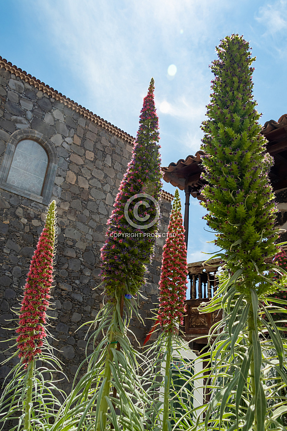 Vilaflor - Tenerife