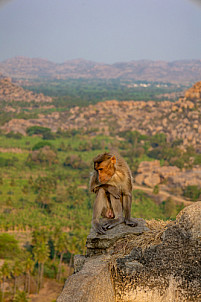 Hampi - India