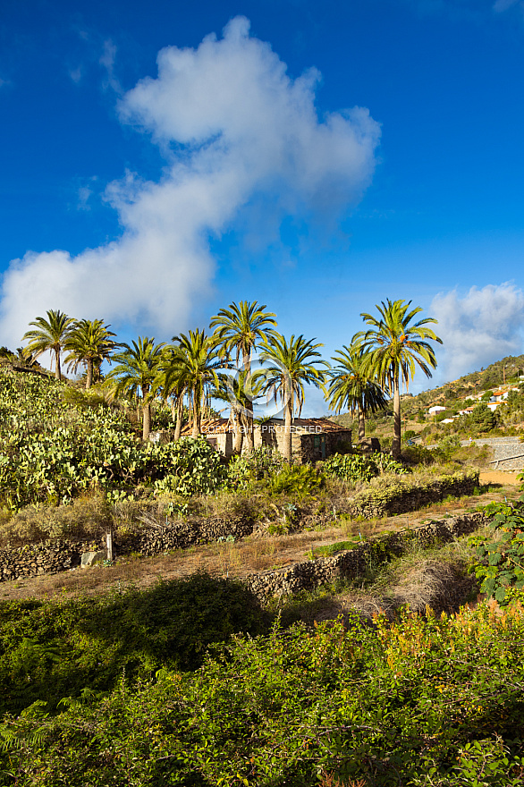 La Gomera: Las Rosas