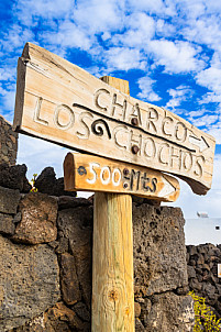 Charco de Los Chochos: El Hierro