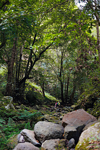 Cubo de la Galga - La Palma