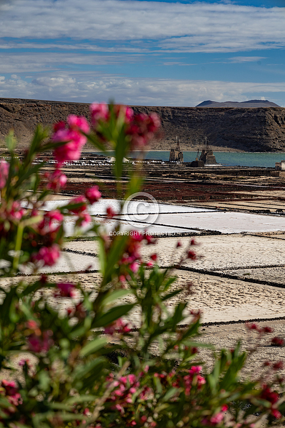 Mirador de las Salinas - Lanzarote