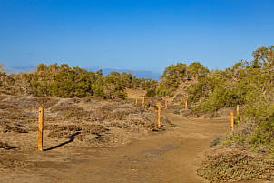 Dunas de Maspalomas: Senderos Y Miradores