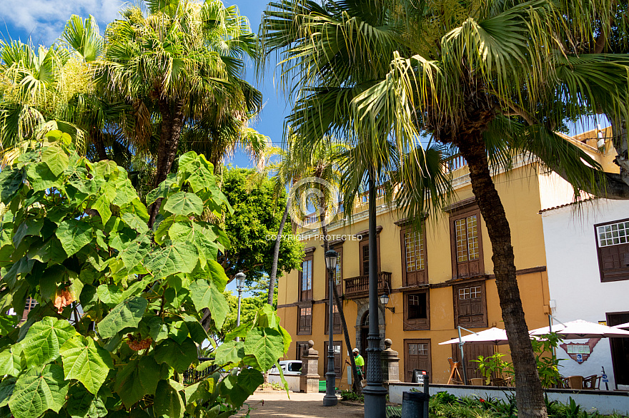 Icod de los Vinos - Drago Milenario - Tenerife