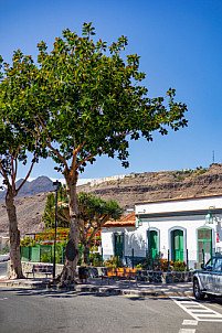 La Aldea - Gran Canaria