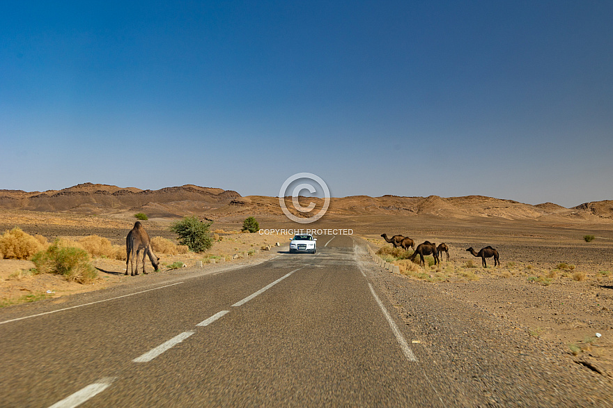 On the road - en la carretera