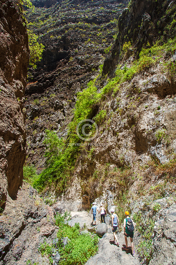 Barranco del Infierno - Tenerife