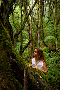 El Cedro - Garajonay