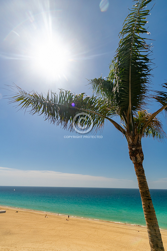 Morro Jable - Fuerteventura