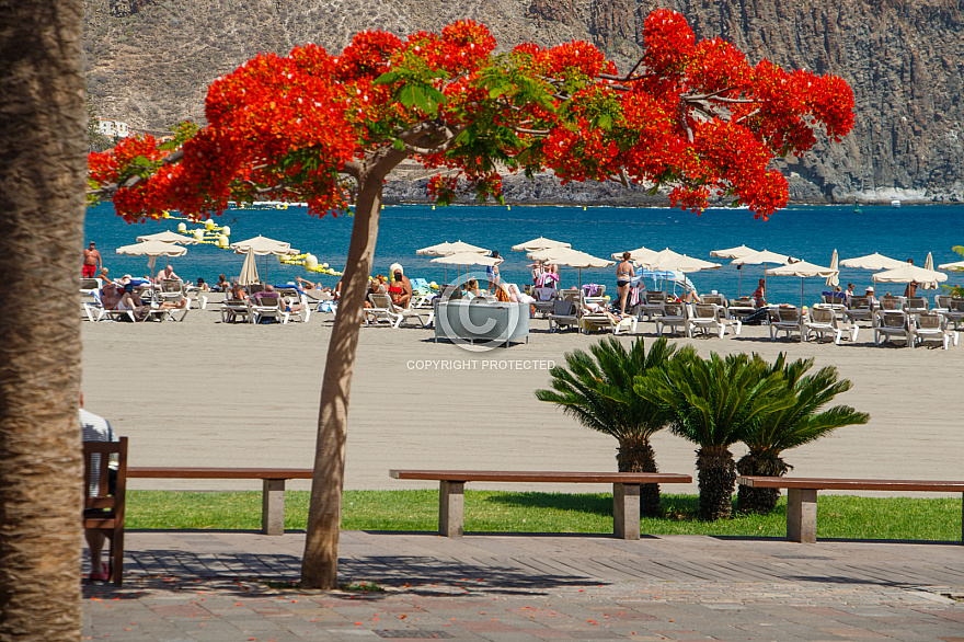 Playa de los Cristianos Tenerife