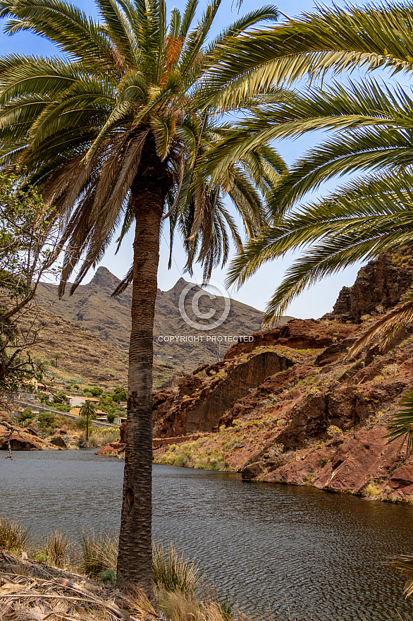 Barranco de las Lajas - La Gomera