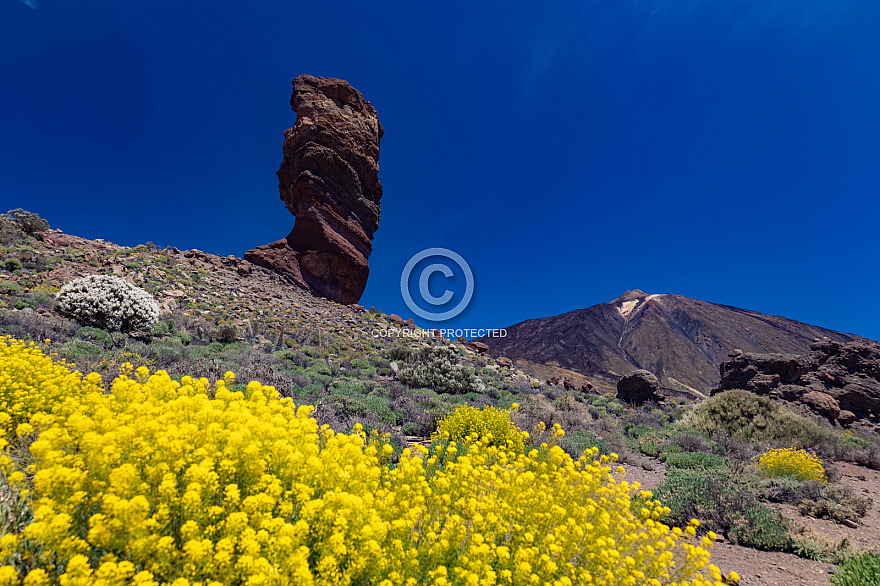 Cañadas del Teide - Tenerife