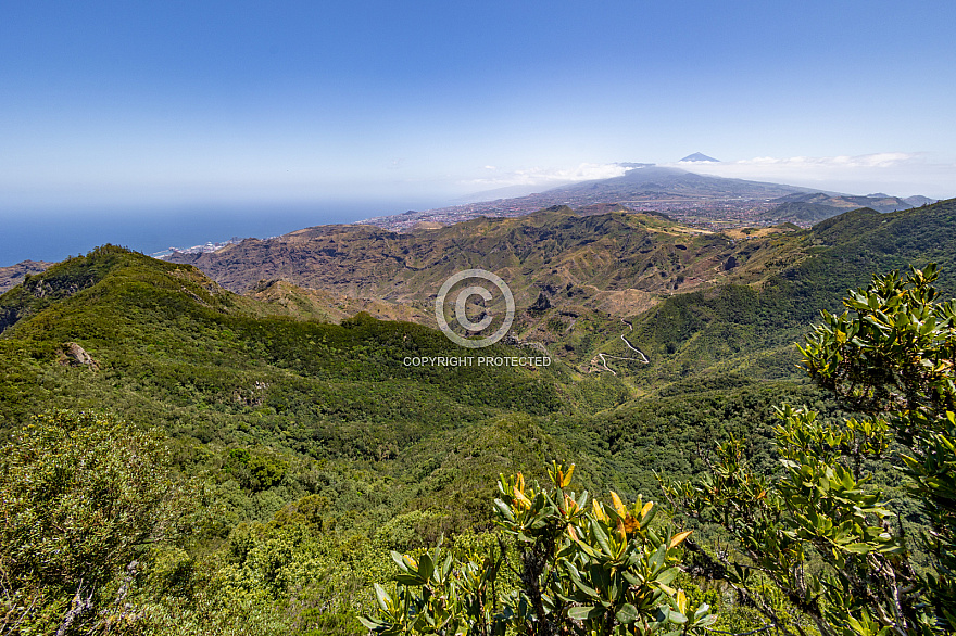 Mirador Pico del inglés - Anaga - Tenerife