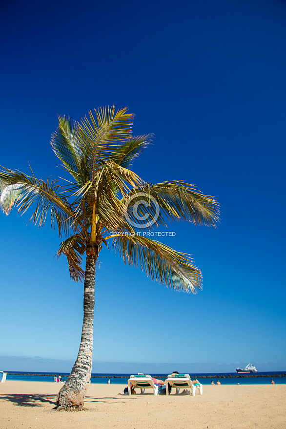 Playa Las Teresitas - Tenerife