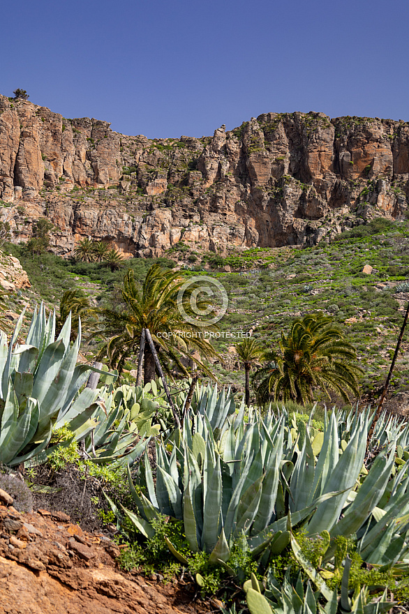 chipude - la gomera