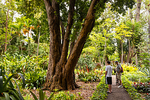 Tenerife: Jardín de Aclimatación de La Orotava