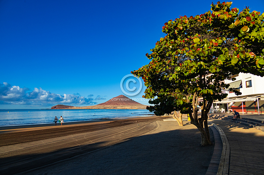 Tenerife: El Medano